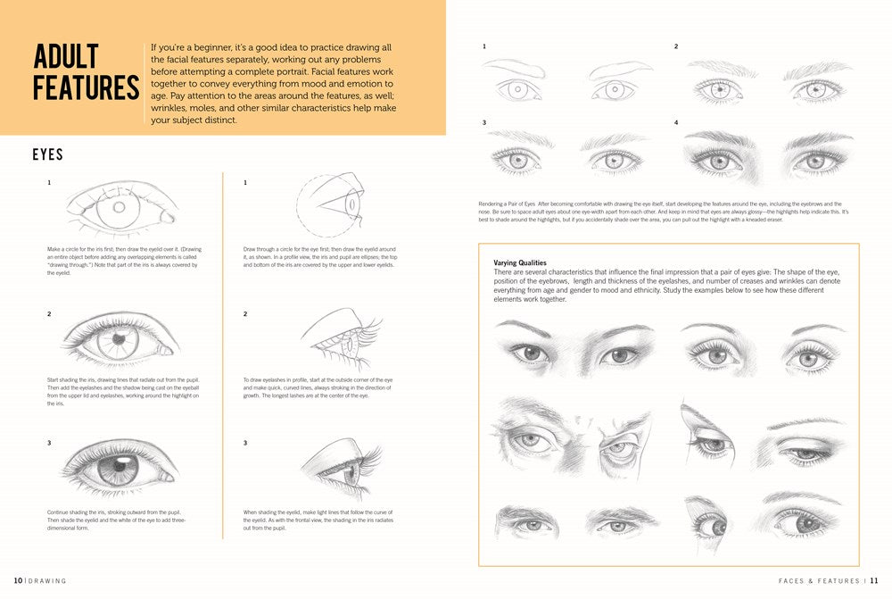 Drawing: Faces & Features