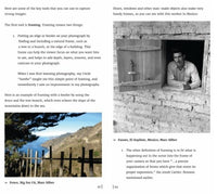 The Secrets to Creating Amazing Photos