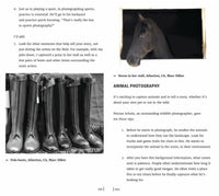 The Secrets to Creating Amazing Photos