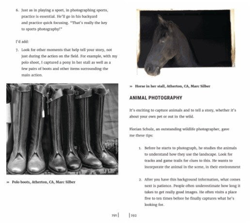 The Secrets to Creating Amazing Photos