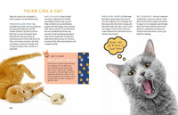 A Kid's Guide to Cats