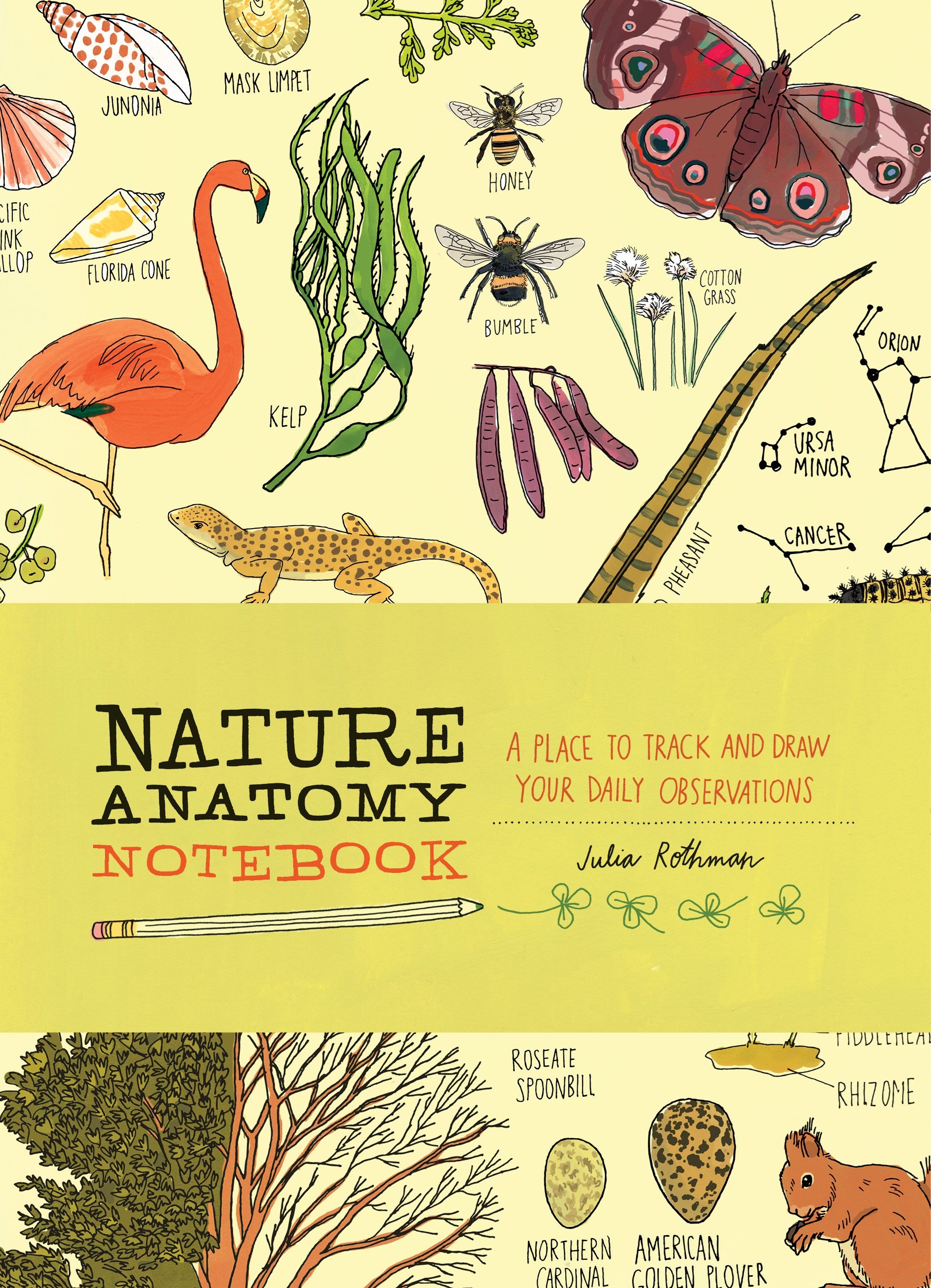 Nature Anatomy Notebook: A Place to Track and Draw Your Daily Observations