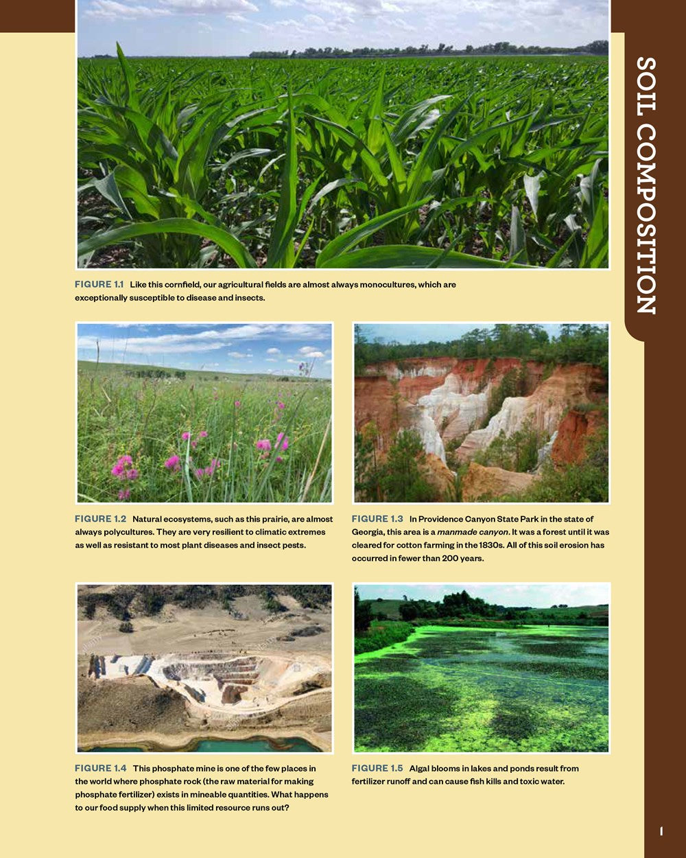 The Complete Guide to Restoring Your Soil