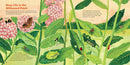 Monarch Butterflies