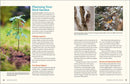 100 Plants to Feed the Birds