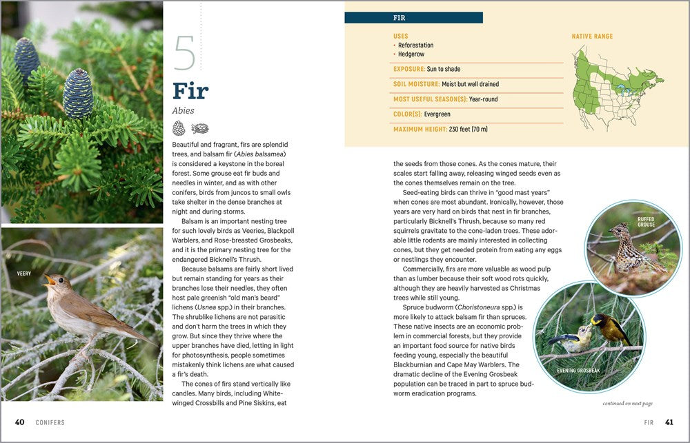 100 Plants to Feed the Birds