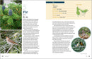 100 Plants to Feed the Birds