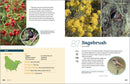 100 Plants to Feed the Birds