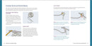 Crochet for Beginners