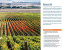 Fodor's Essential Chile
