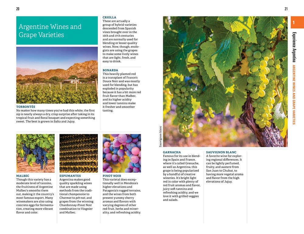 Fodor's Essential Argentina