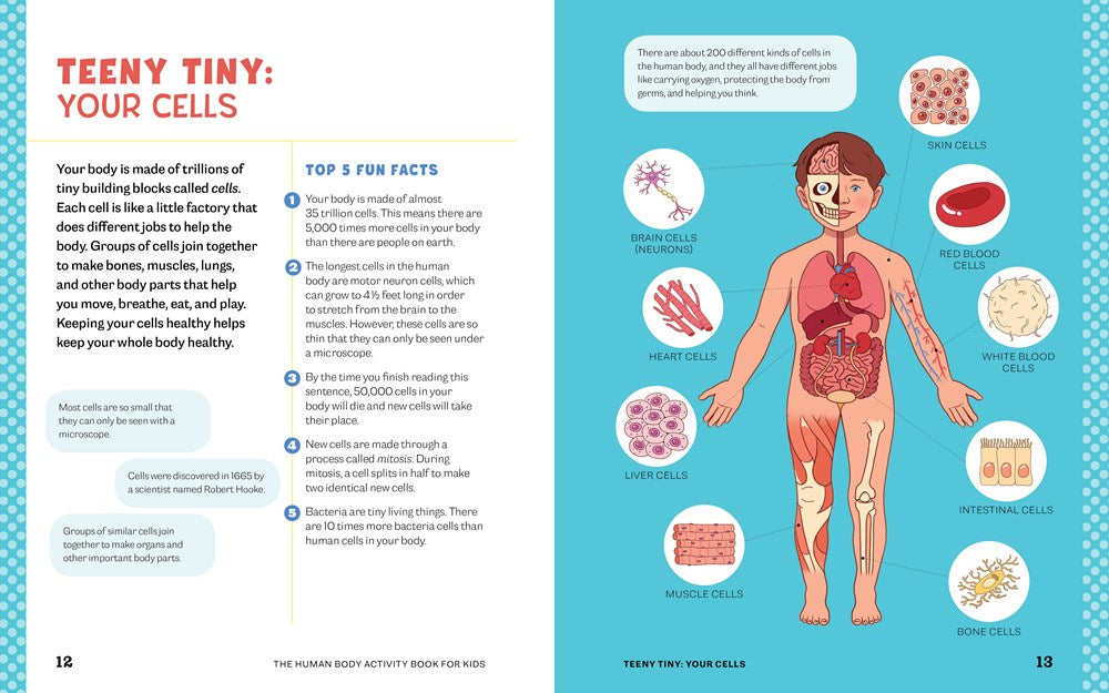 Human Body Activity Book for Kids: Hands-On Fun for Grades K-3