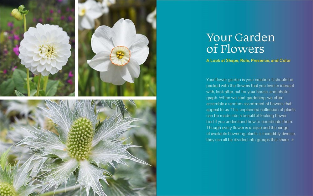 The Ultimate Flower Gardener's Guide
