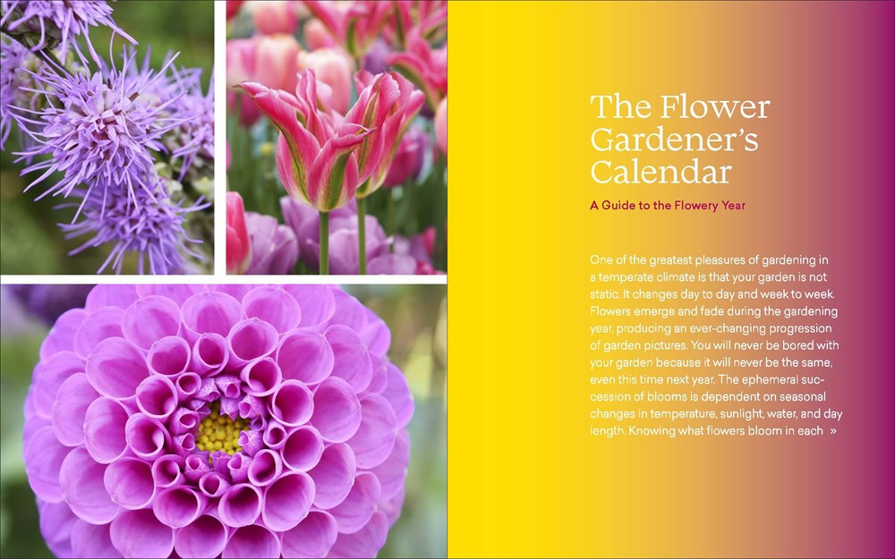 The Ultimate Flower Gardener's Guide