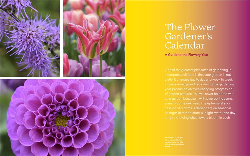 The Ultimate Flower Gardener's Guide