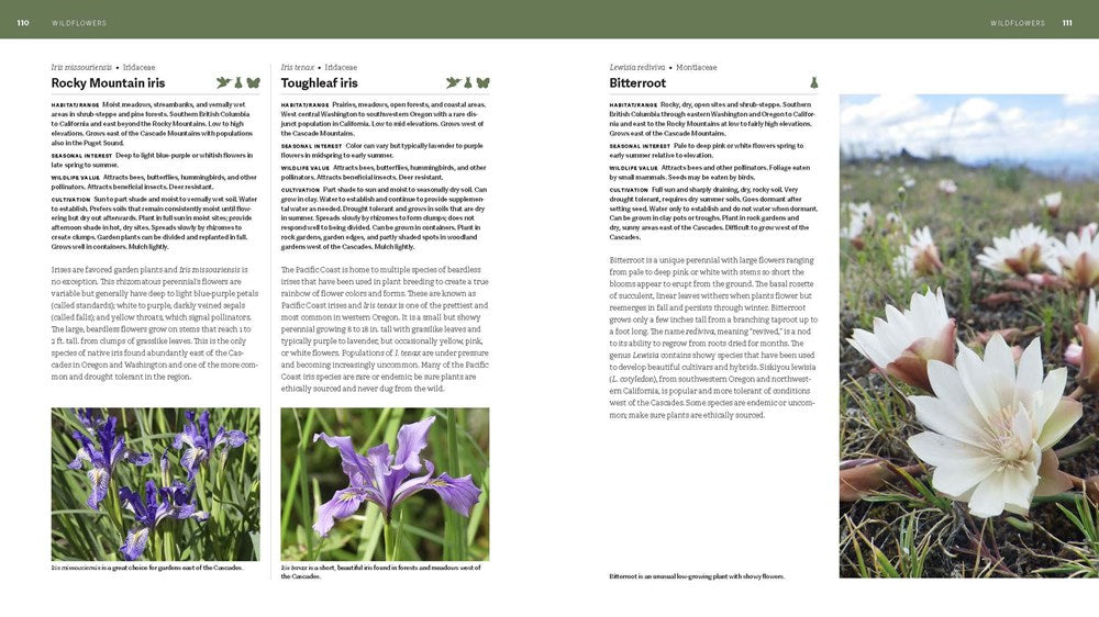 The Pacific Northwest Native Plant Primer