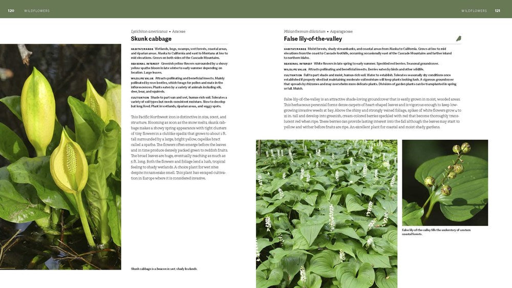 The Pacific Northwest Native Plant Primer