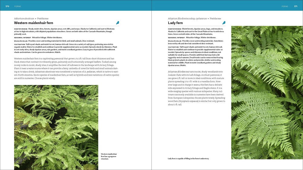 The Pacific Northwest Native Plant Primer