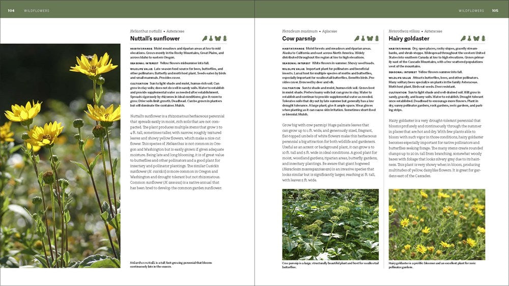 The Pacific Northwest Native Plant Primer