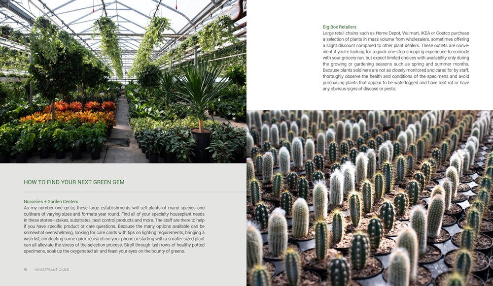 Houseplant Oasis