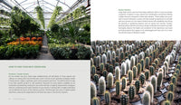 Houseplant Oasis