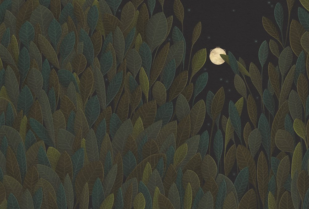 Ancient Night