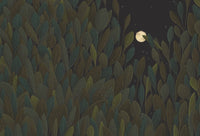 Ancient Night