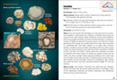 Lake Superior Rocks & Minerals Field Guide