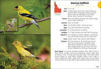 Birds of Idaho Field Guide