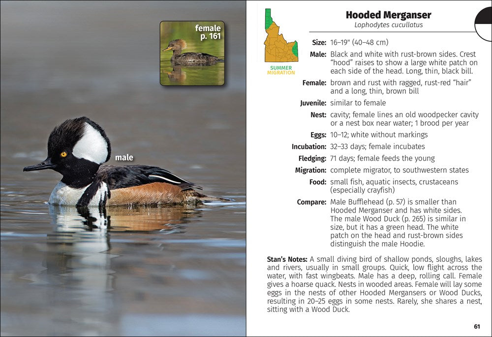 Birds of Idaho Field Guide