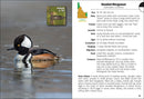 Birds of Idaho Field Guide