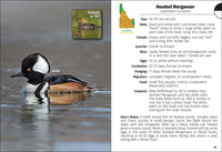Birds of Idaho Field Guide