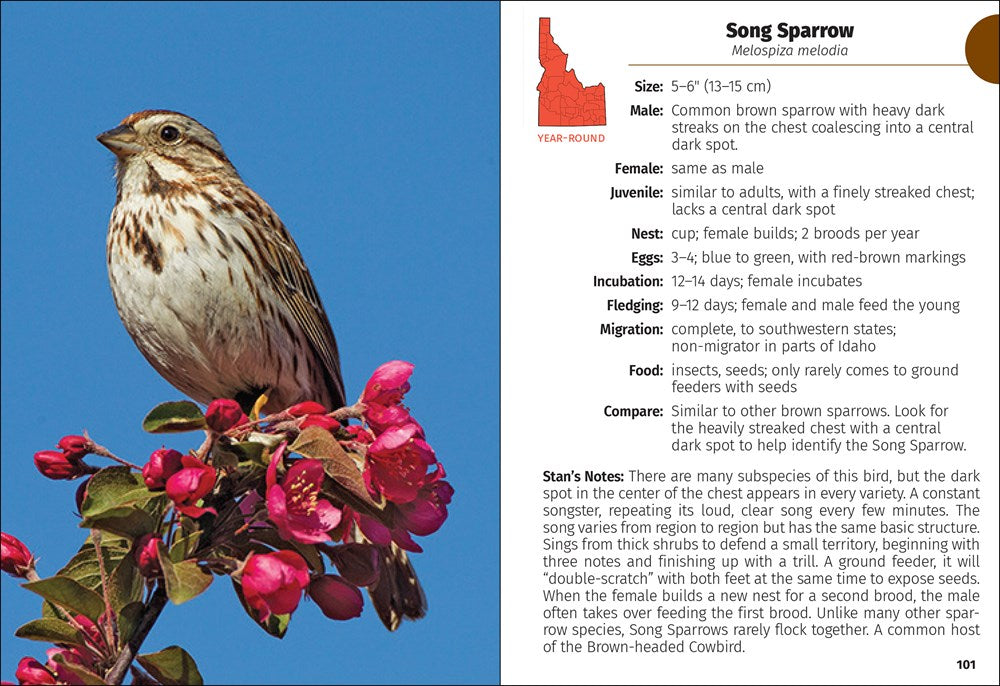 Birds of Idaho Field Guide