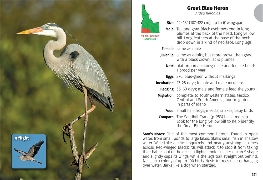 Birds of Idaho Field Guide