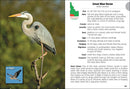 Birds of Idaho Field Guide