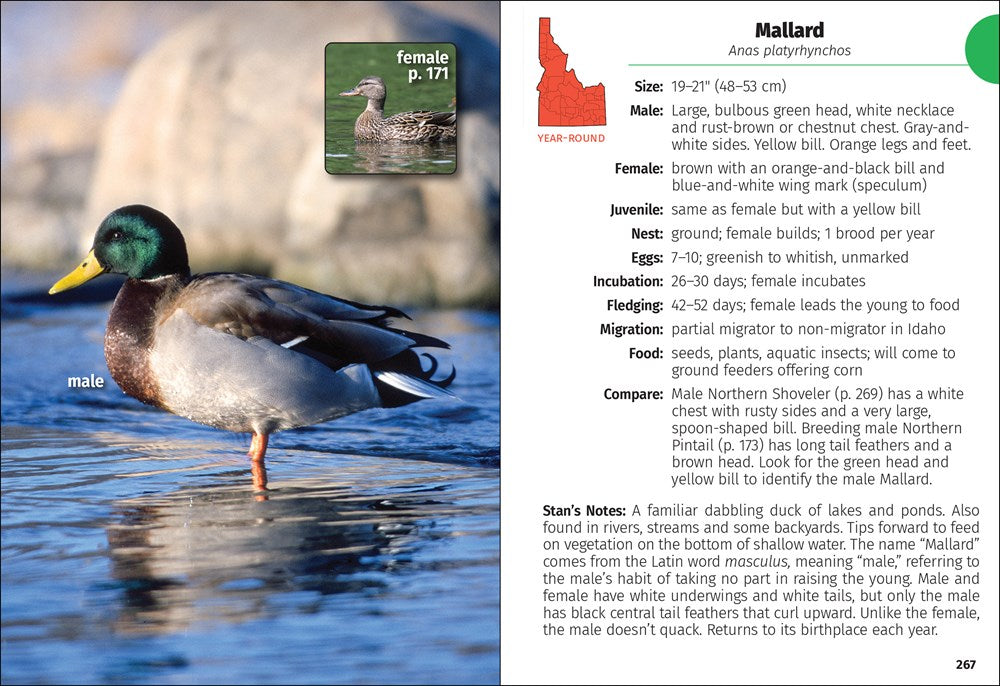 Birds of Idaho Field Guide