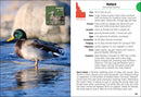 Birds of Idaho Field Guide