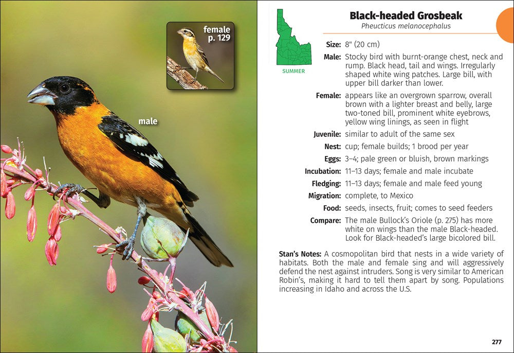 Birds of Idaho Field Guide