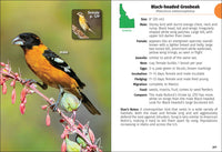 Birds of Idaho Field Guide