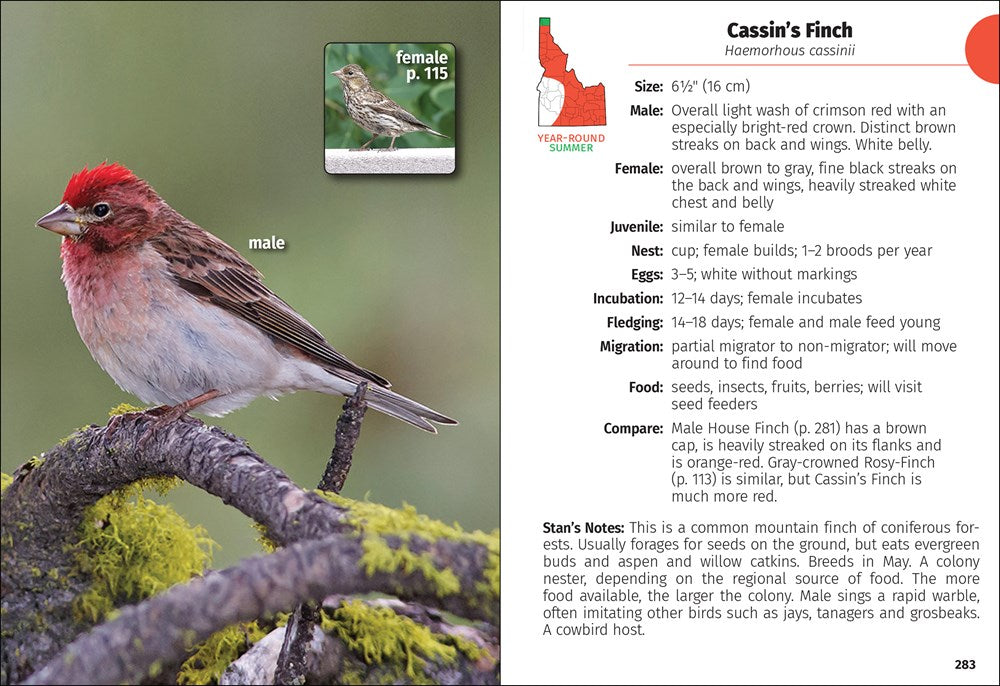 Birds of Idaho Field Guide