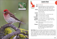 Birds of Idaho Field Guide