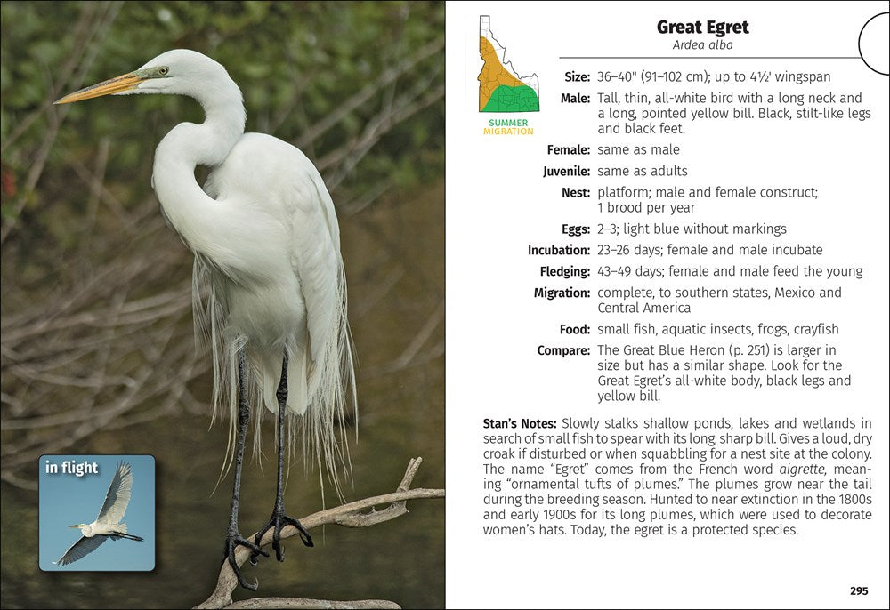 Birds of Idaho Field Guide