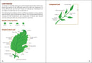 Trees of Texas Field Guide
