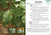 Trees of Texas Field Guide