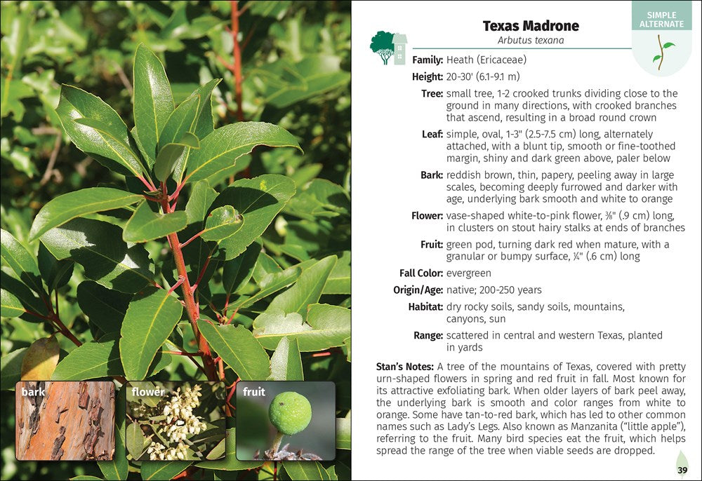 Trees of Texas Field Guide