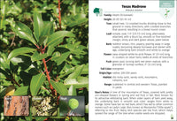 Trees of Texas Field Guide