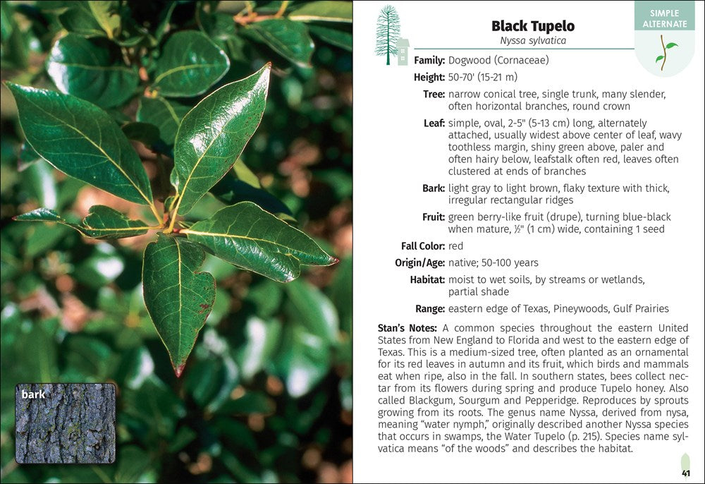 Trees of Texas Field Guide