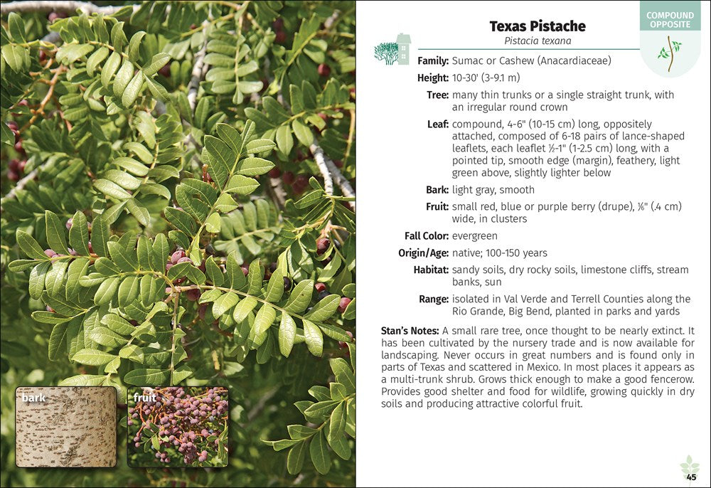 Trees of Texas Field Guide