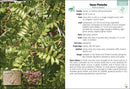 Trees of Texas Field Guide
