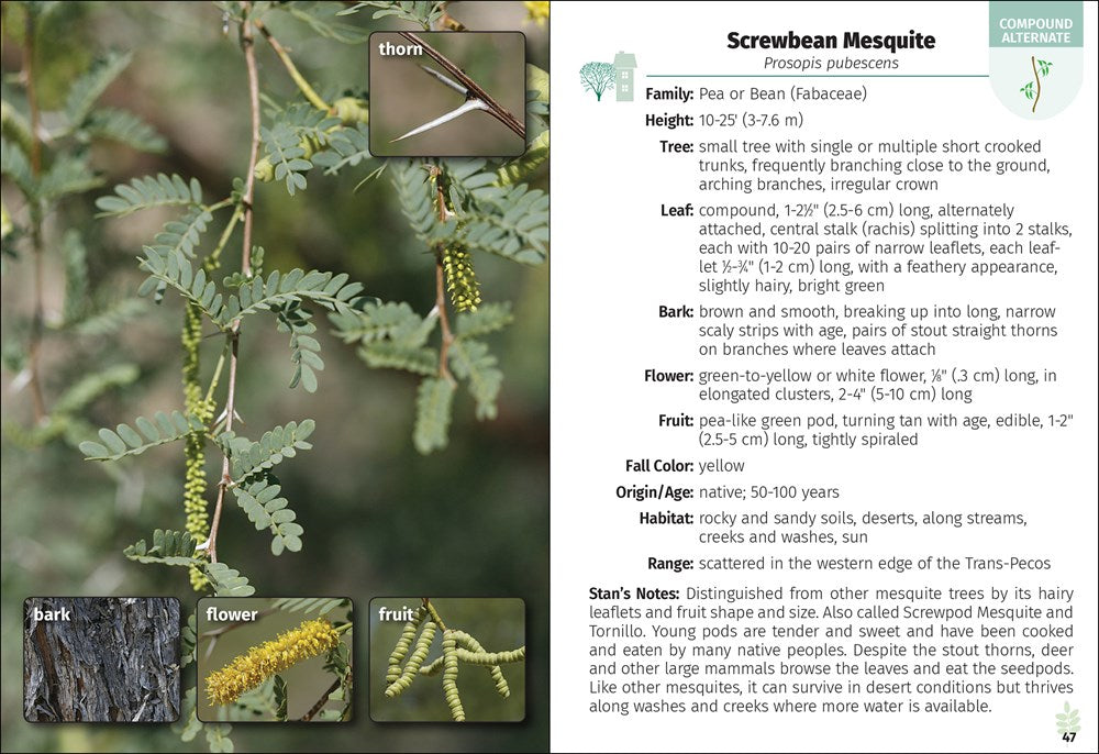 Trees of Texas Field Guide